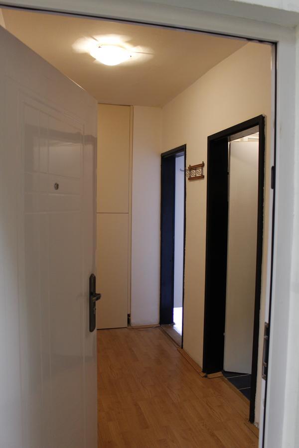 Apartman "Soba Sa Pogledom" Golubăţ Exterior foto