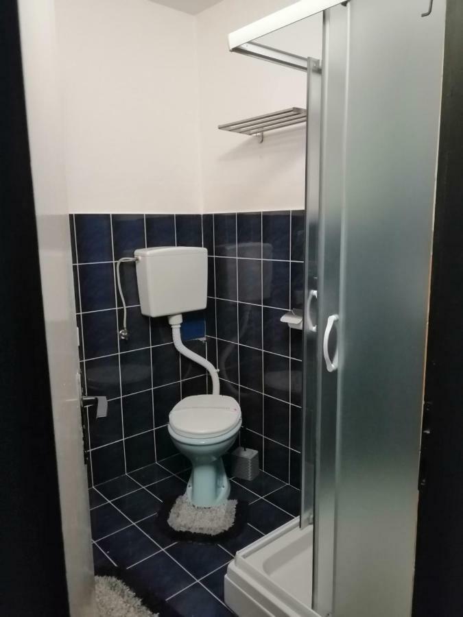 Apartman "Soba Sa Pogledom" Golubăţ Exterior foto