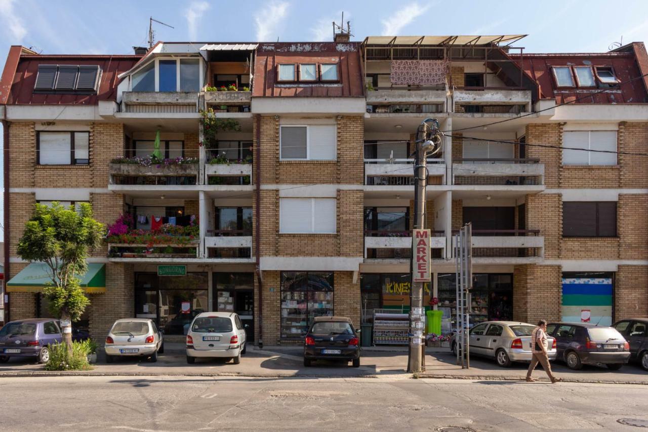 Apartman "Soba Sa Pogledom" Golubăţ Exterior foto